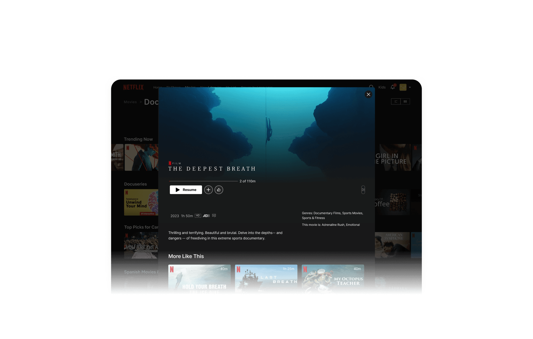 topic-thumbnail-Netflix Prototype
